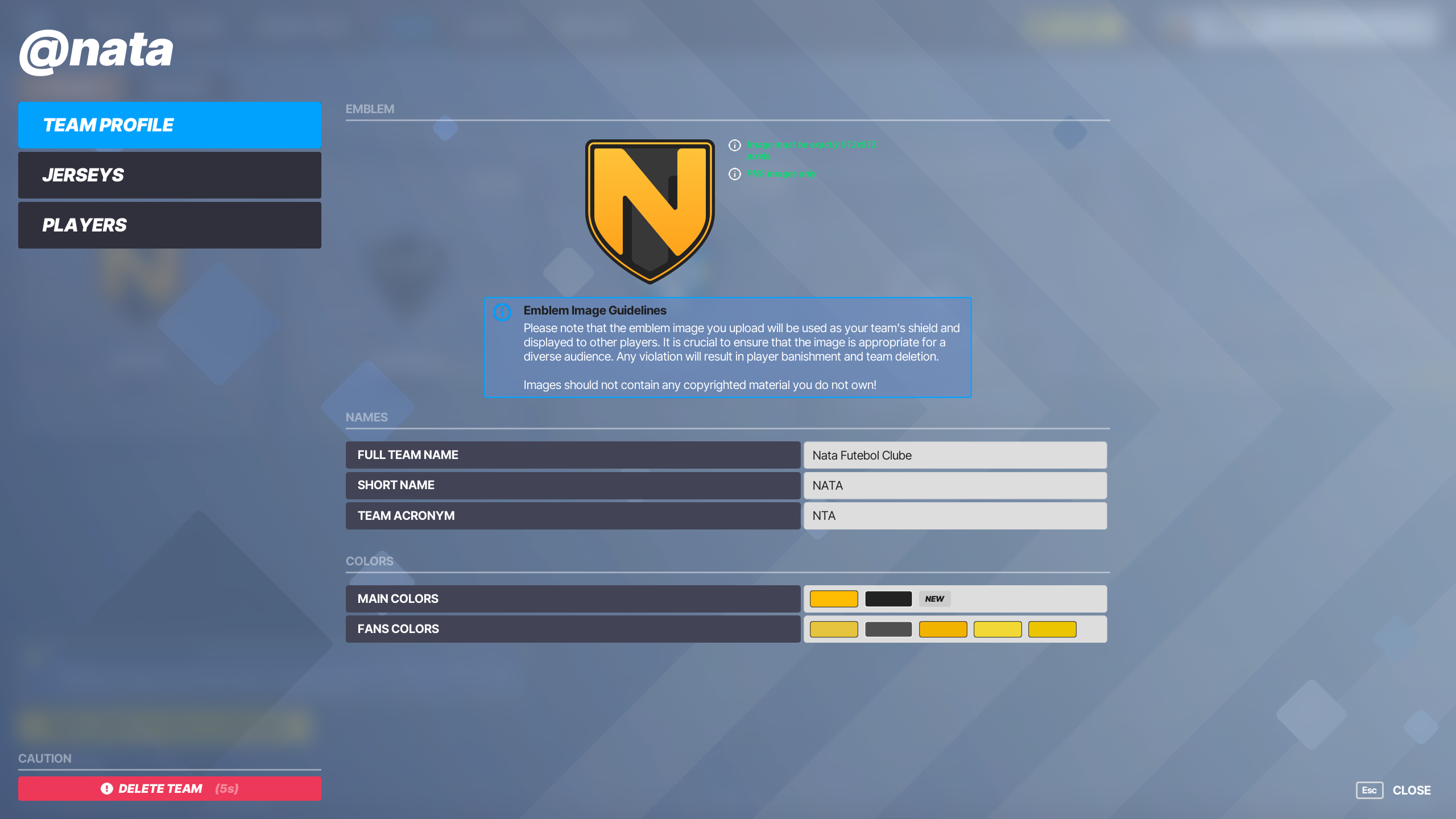 Player owned team customization screen