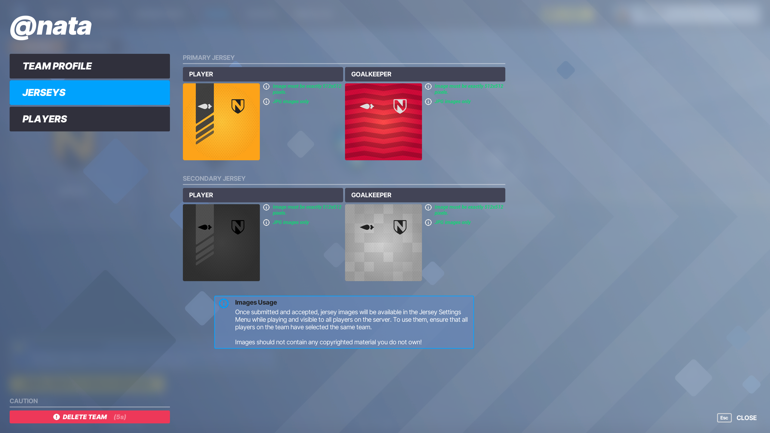 Player owned team identity preview